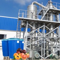 Industrial line fruit and vegetable pulp processing machine